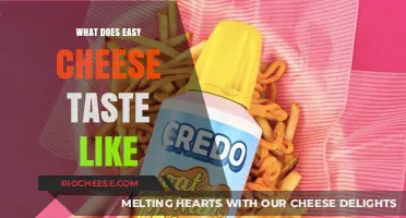 Unraveling the Flavor Mystery: What Does Easy Cheese Taste Like?