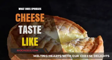 Exploring the Rich and Bold Flavors of Epoisses Cheese
