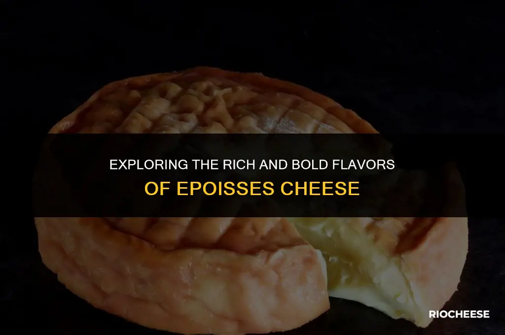 what does epoisses cheese taste like