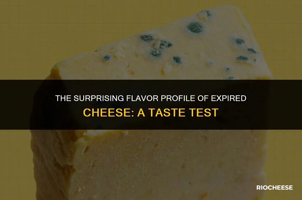 what does expired cheese taste like
