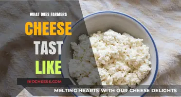 Exploring the Rich Flavor Profile of Farmer's Cheese: A Culinary Journey