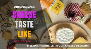 Exploring the Rich Flavors of Farmstead Cheese: A Taste Journey