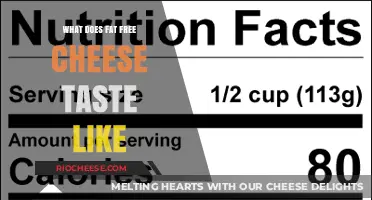 Exploring the Flavor Profile of Fat-Free Cheese: A Tasty Journey
