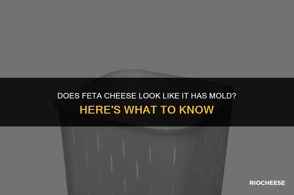 what does feta cheese look like it has mold