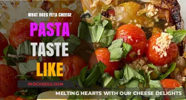 Exploring the Rich Flavors of Feta Cheese Pasta