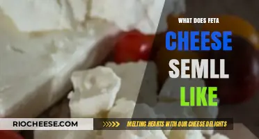 Exploring the Rich Aroma: What Does Feta Cheese Smell Like?