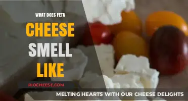Exploring the Pungent Aromas of Feta Cheese: A Sensory Journey