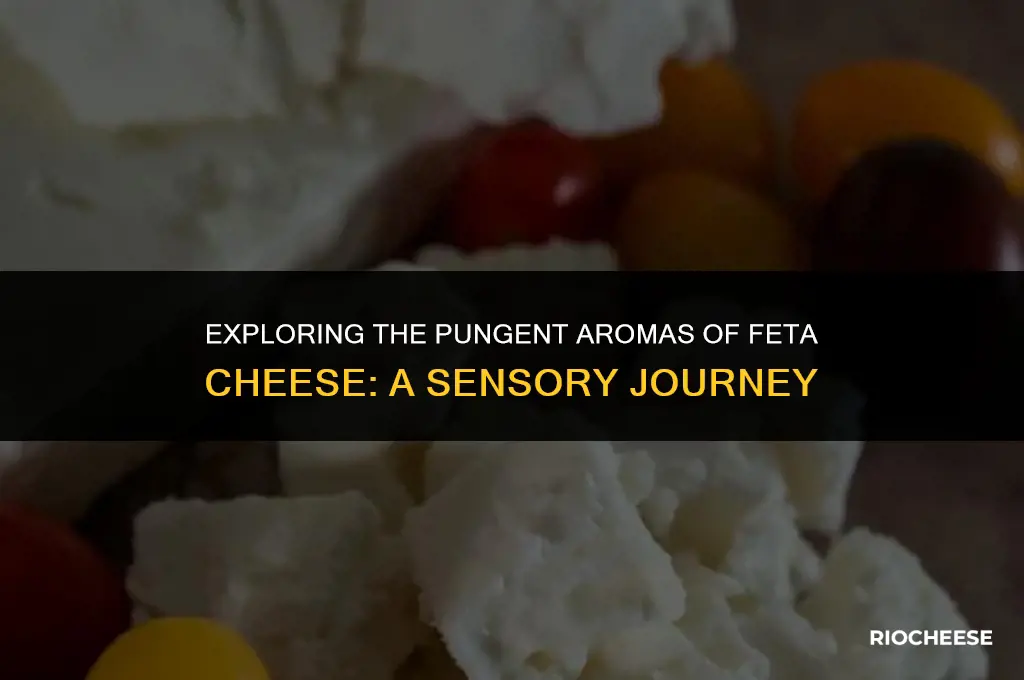 what does feta cheese smell like