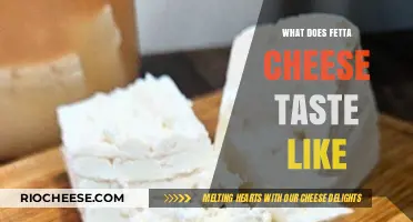 Exploring the Rich Flavor Profile of Fetta Cheese