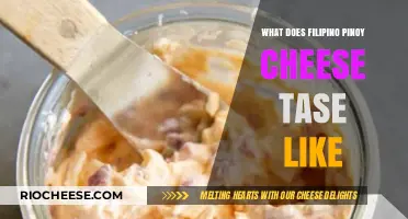 Exploring the Unique Flavor Profile of Filipino Pinoy Cheese