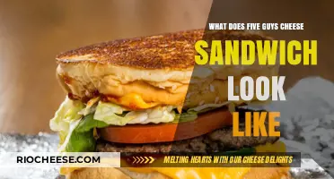 A Visual Delight: The Five Guys Cheese Sandwich Unveiled