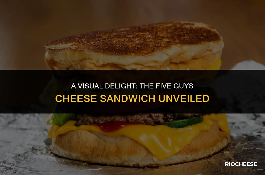 what does five guys cheese sandwich look like