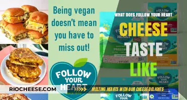 Savoring Authenticity: The Irresistible Flavor of Follow Your Heart Cheese