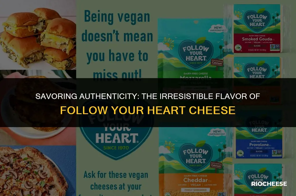 what does follow your heart cheese taste like