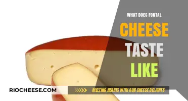 Exploring the Rich Flavor Profile of Fontal Cheese: A Culinary Journey