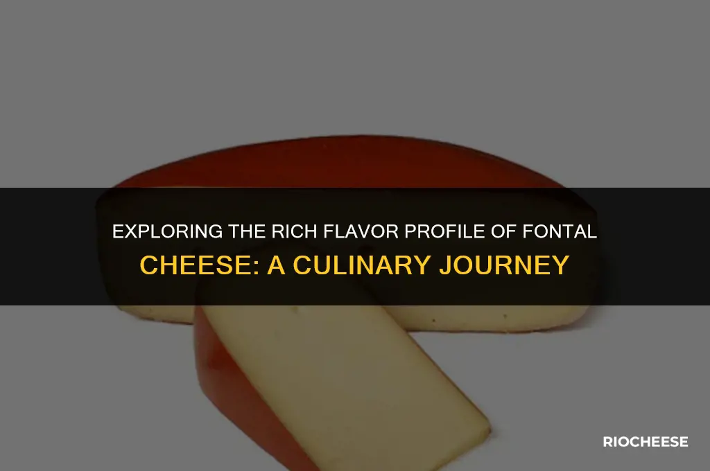 what does fontal cheese taste like