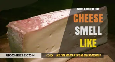 Exploring the Rich Aroma of Fontina Cheese: A Sensory Delight