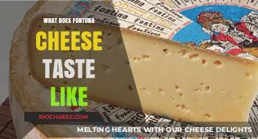 Exploring the Rich Flavor Profile of Fontana Cheese