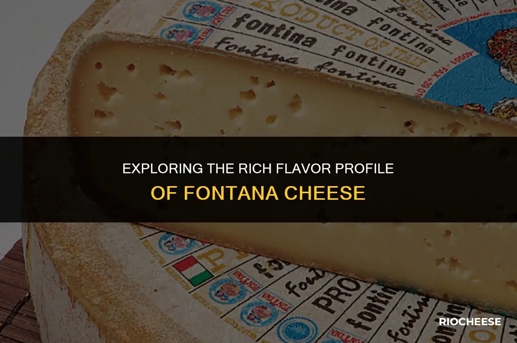 what does fontuna cheese taste like