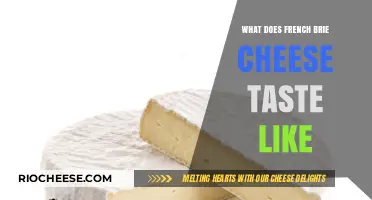 Exploring the Rich Flavor Profile of French Brie Cheese