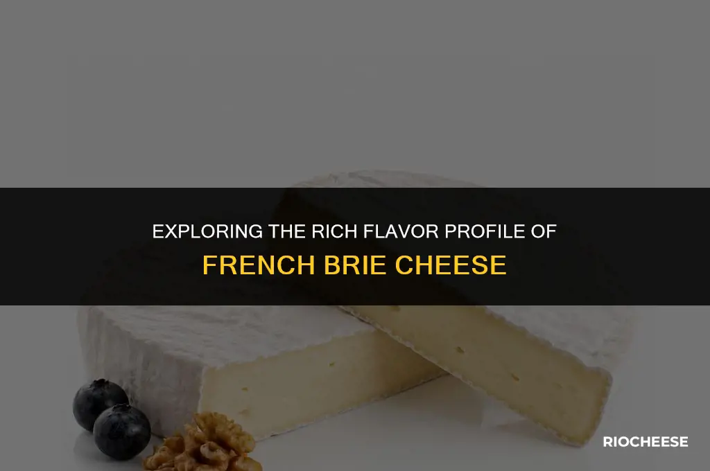what does french brie cheese taste like