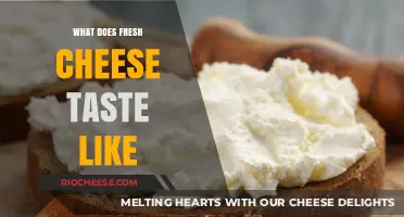 Exploring the Rich Flavors: What Does Fresh Cheese Taste Like?