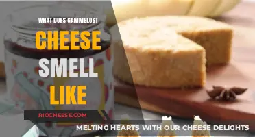 Unveiling the Unique Aroma of Gammelost Cheese: A Sensory Journey