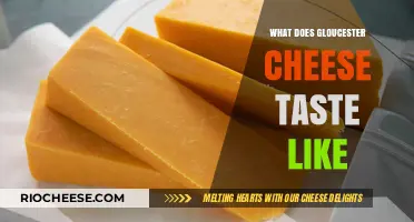 Exploring the Rich Flavor Profile of Gloucester Cheese