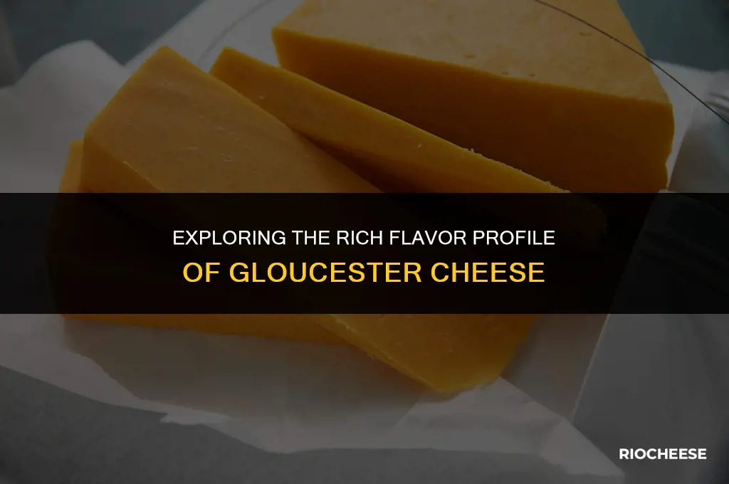 what does gloucester cheese taste like