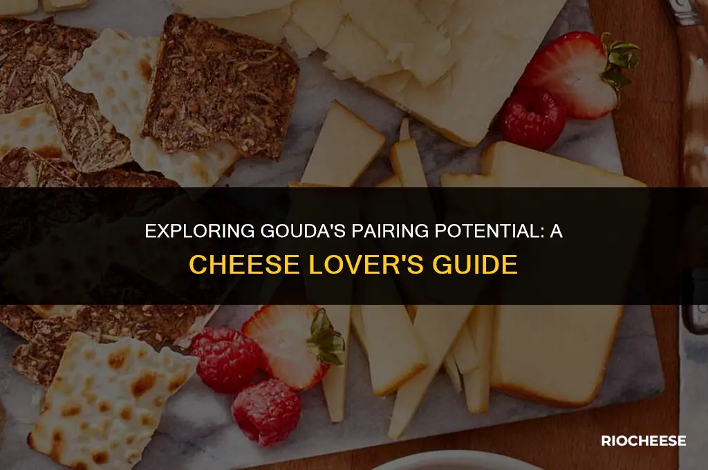 what does gouda cheese go with