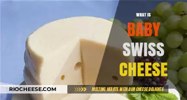 Exploring the Creamy Delight of Baby Swiss Cheese