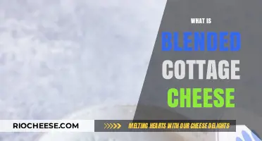 The Creamy Delight of Blended Cottage Cheese: A Versatile Dairy Staple