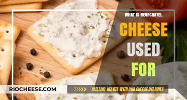 Exploring the Versatility of Neufchatel Cheese in Culinary Delights