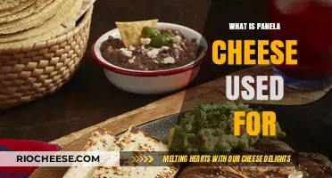 Exploring the Versatility of Panela Cheese in Culinary Delights