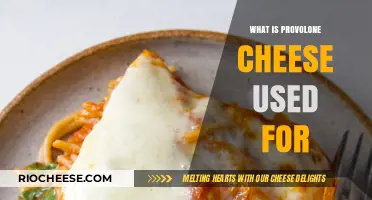 Exploring the Versatility of Provolone Cheese in Culinary Delights