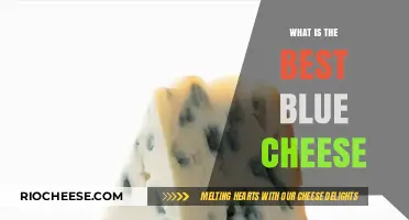 Discovering the Perfect Blue: A Cheese Lover's Quest