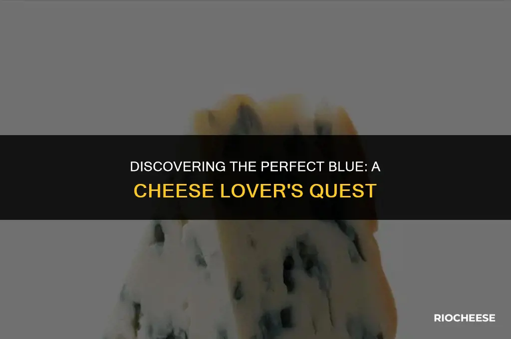 what is the best blue cheese