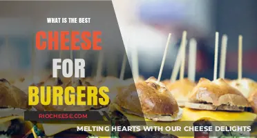 The Ultimate Guide to Choosing the Perfect Cheese for Your Burger