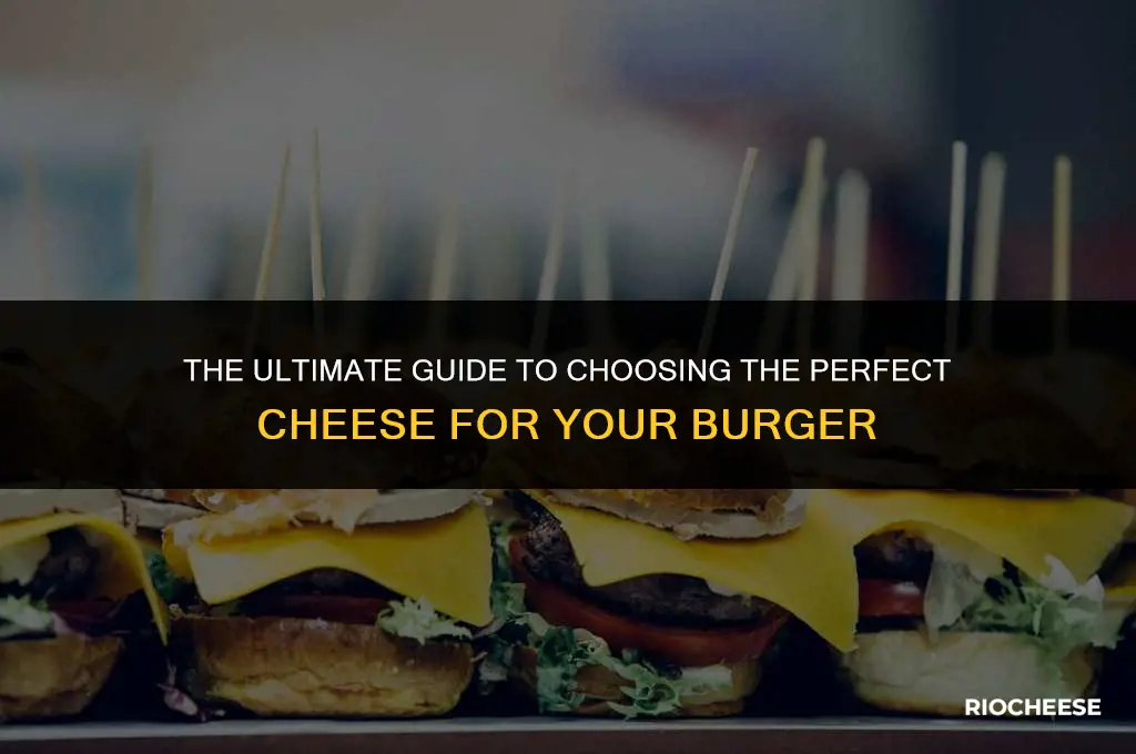 what is the best cheese for burgers