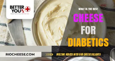 Diabetic-Friendly Cheese: A Guide to the Best Options