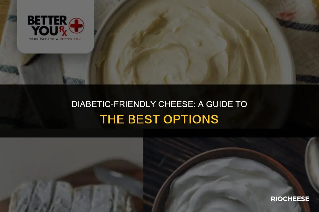 what is the best cheese for diabetics