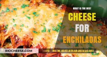 Discover the Perfect Cheese for Your Enchiladas: A Guide