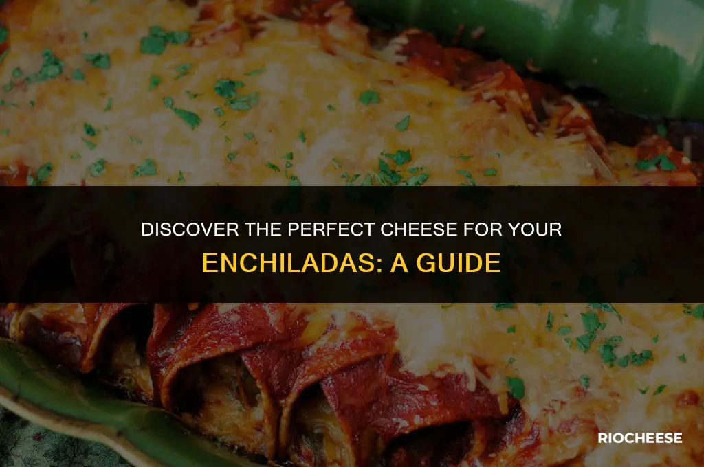 what is the best cheese for enchiladas
