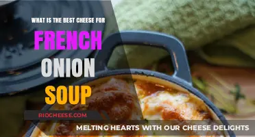 Melt-in-Your-Mouth: The Ultimate Cheese for French Onion Soup