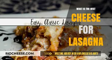The Ultimate Guide to Choosing the Perfect Cheese for Lasagna