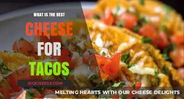 Taco Cheese Showdown: Which Variety Melts Hearts and Minds?