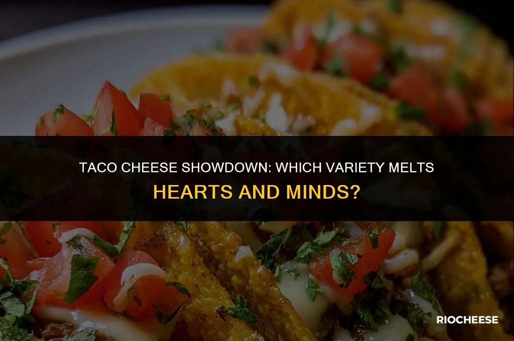 what is the best cheese for tacos