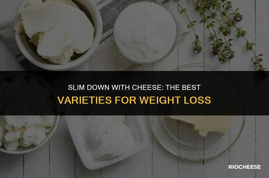 what is the best cheese for weight loss