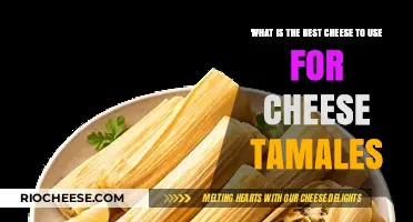 Discover the Perfect Cheese for Your Tamales: A Flavorful Guide