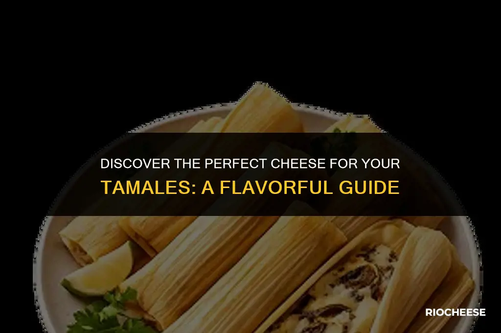 what is the best cheese to use for cheese tamales